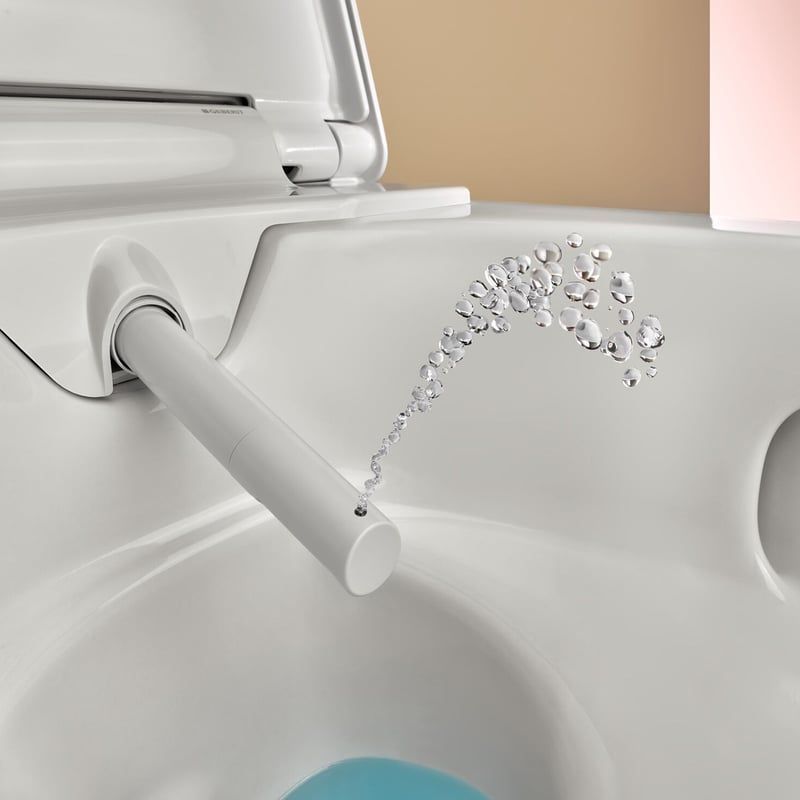 Komplett Set Geberit Alba Dusch-WC mit Duofix Montagemodul