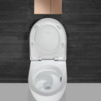 Komplett Set Geberit Acanto Wand-WC TurboFlush mit Duofix Montagemodul