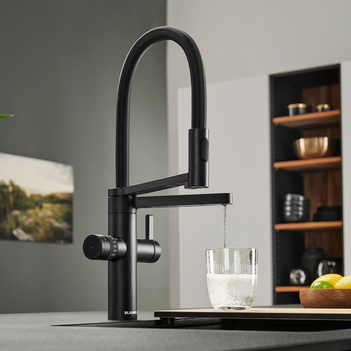 Blanco Evol-S Pro Küchenarmatur Dink.System schwenkbar