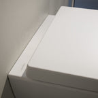 Laufen Pro X WC-Sitz & Deckel abnehmbar mit Absenkautomatik